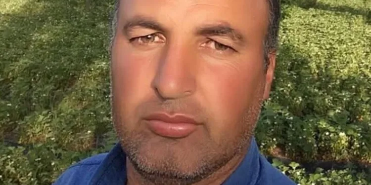 Düzce’de bir bölgede daha orman yangını çıktı