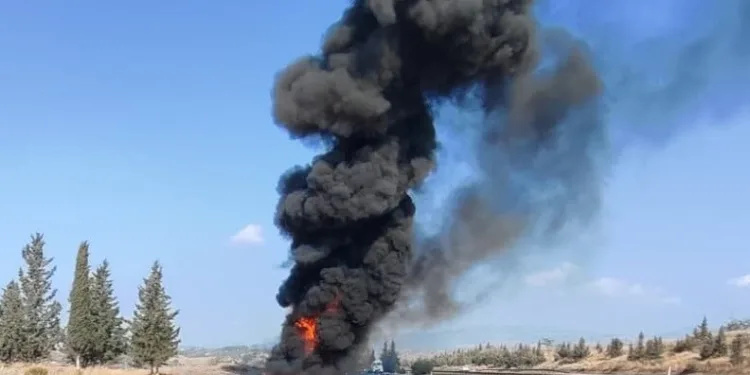 Mersin’de kaçak makaron operasyonu