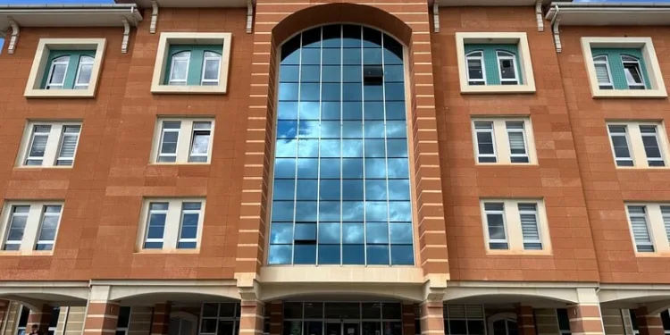 Ayı saldırısına uğradı: Canını ağaca tırmanarak kurtardı
