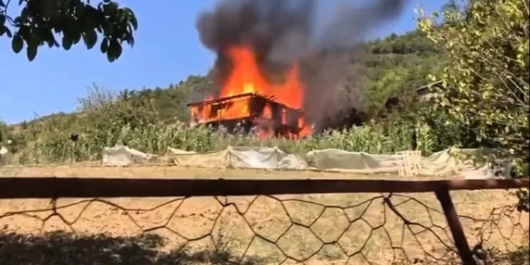 Ayı saldırısına uğradı: Canını ağaca tırmanarak kurtardı