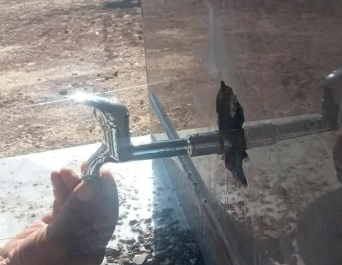 Ayı saldırısına uğradı: Canını ağaca tırmanarak kurtardı