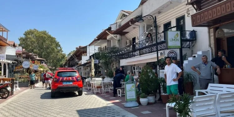 Ayı saldırısına uğradı: Canını ağaca tırmanarak kurtardı