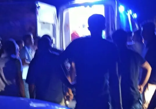 Ayı saldırısına uğradı: Canını ağaca tırmanarak kurtardı