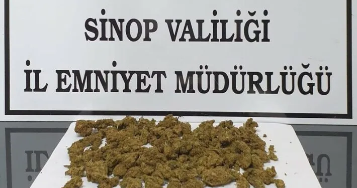Ayı saldırısına uğradı: Canını ağaca tırmanarak kurtardı