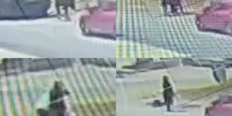 TEM Otoyolu’nda tırın dorsesi alev alev yandı