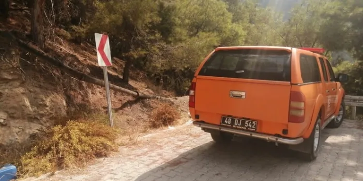 TEM Otoyolu’nda tırın dorsesi alev alev yandı
