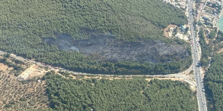 TEM Otoyolu’nda tırın dorsesi alev alev yandı