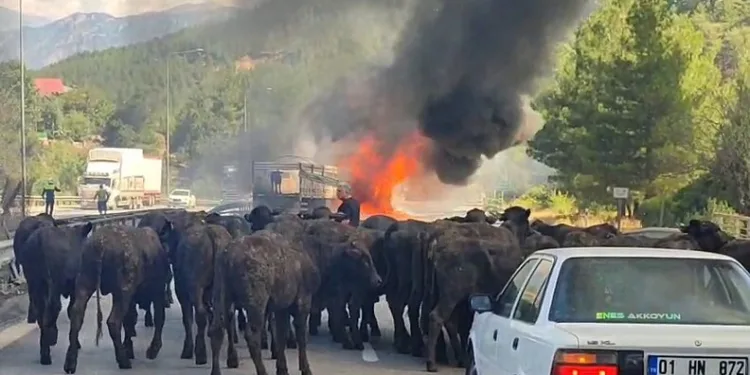 Kuyuya düşen vatandaş kurtarıldı