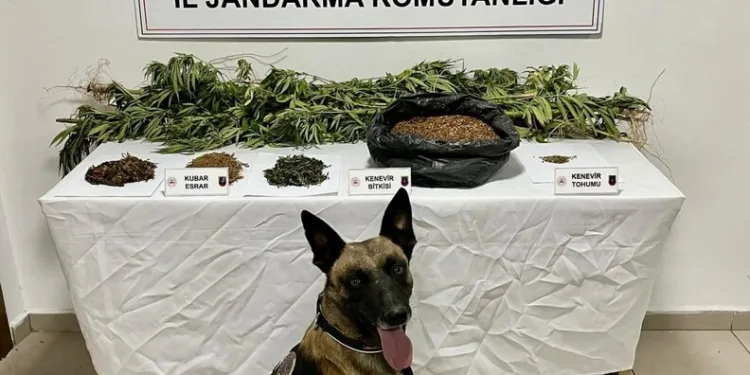 Kuyuya düşen vatandaş kurtarıldı