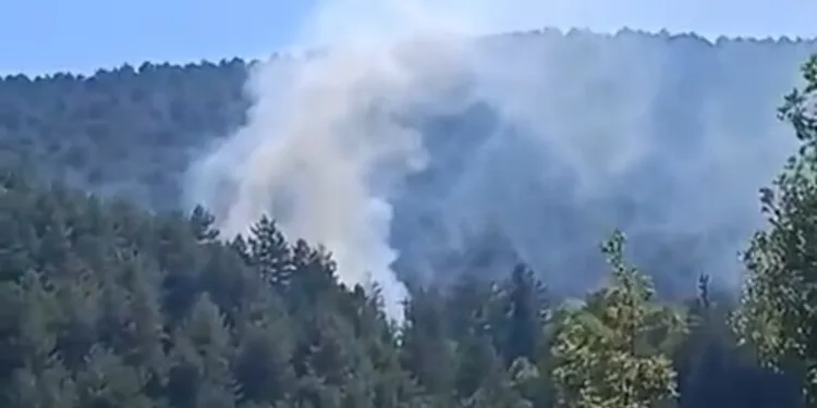 Bitlis’te ‘kasten öldürme’ suçundan aranan şahıs sahte kimlikle yakalandı