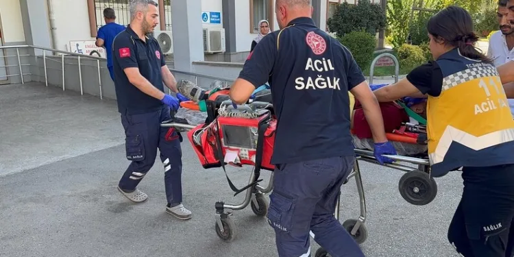 Bitlis’te ‘kasten öldürme’ suçundan aranan şahıs sahte kimlikle yakalandı