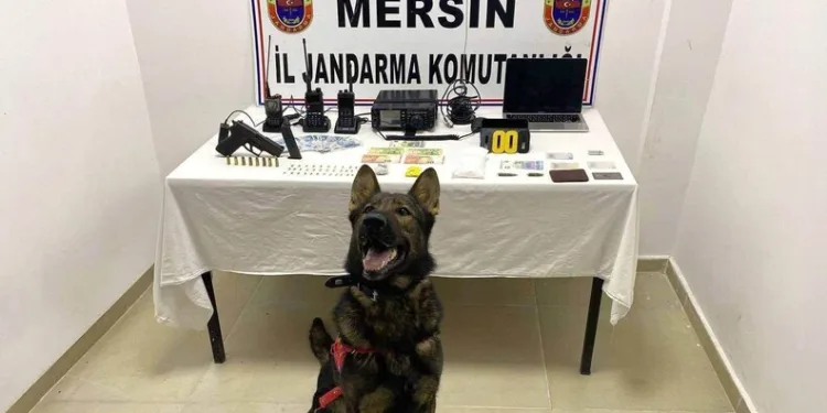 Kontrolünü kaybettiği motosikletten düştü, kaldırıldığı hastanede vefat etti