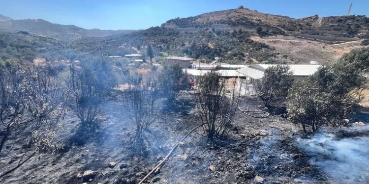 Pendik Sahil Yolu’nda kaza: Lüks otomobil takla atarak devrildi