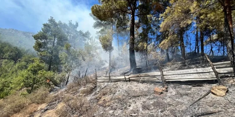 Kepez Belediyesi Esentepe’de yaptığı yenileme çalışmalarıyla bölgeye modern bir çehre kazandırdı