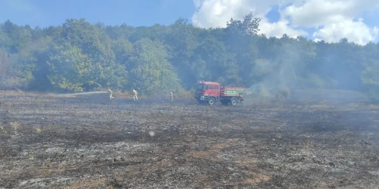 Bin 871 parça antika sikkeler yurt dışına kaçırıldı