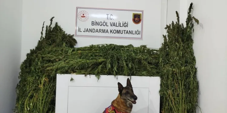 Bin 871 parça antika sikkeler yurt dışına kaçırıldı