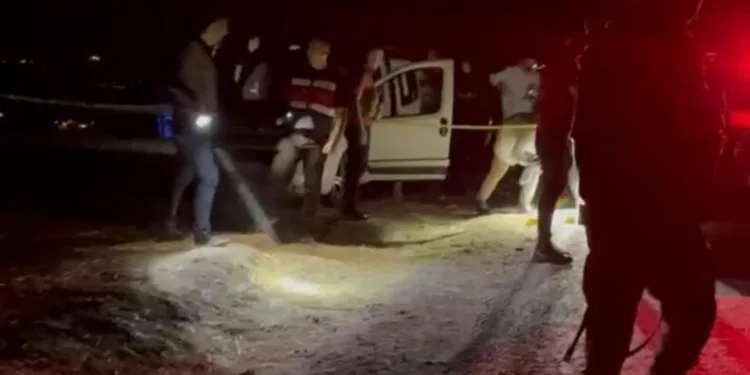 Bin 871 parça antika sikkeler yurt dışına kaçırıldı