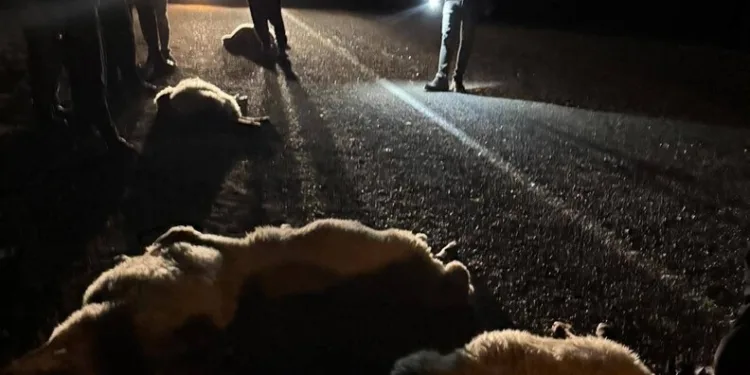 Parkta kızlarının gözü önünde bıçağı boğazına dayayan adamı polisler ikna etti