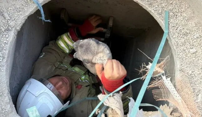 Parkta kızlarının gözü önünde bıçağı boğazına dayayan adamı polisler ikna etti
