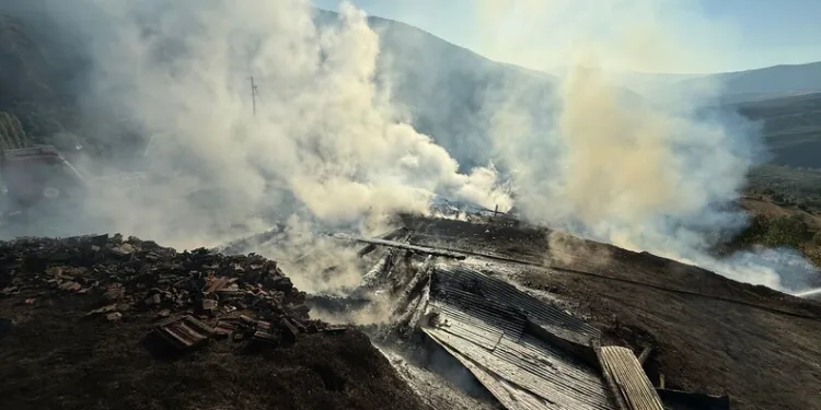 5 yaşındaki oğlunu öldüren anne tutuklandı