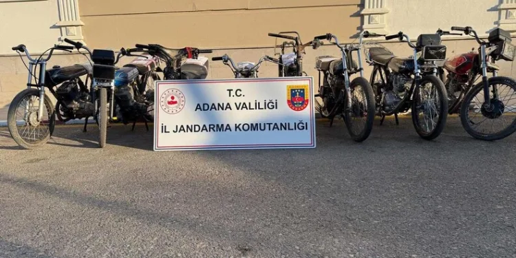 Ağaç otomobilin üzerine devrildi