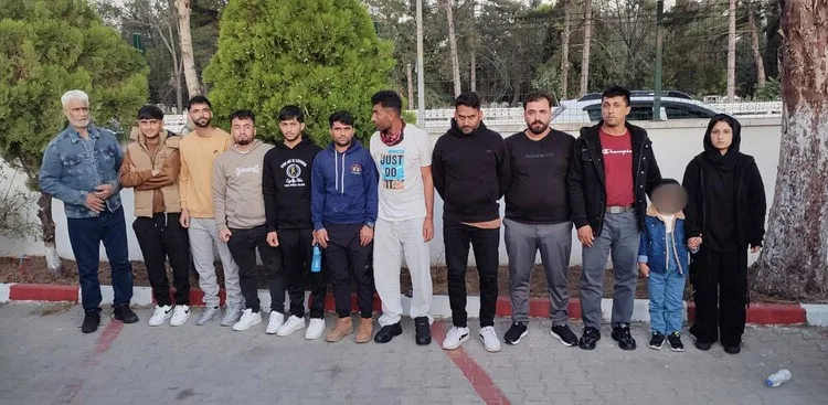 Ağaç otomobilin üzerine devrildi