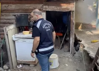 Ağaç otomobilin üzerine devrildi