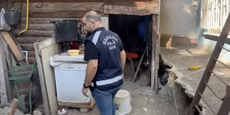 Ağaç otomobilin üzerine devrildi