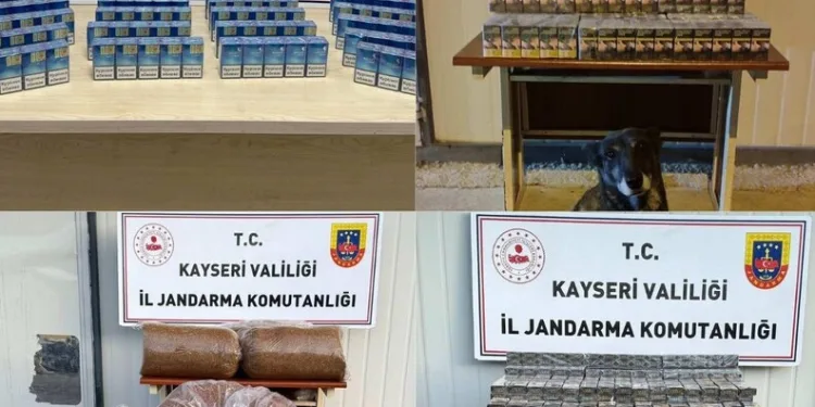 Ağaç otomobilin üzerine devrildi