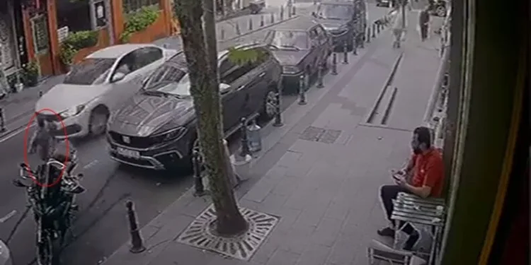 Ağaç otomobilin üzerine devrildi