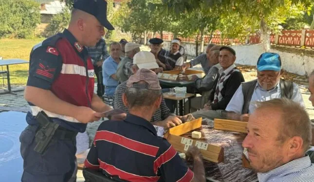 Ağaç otomobilin üzerine devrildi