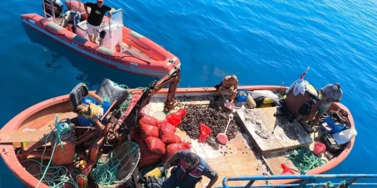 Ağaç otomobilin üzerine devrildi