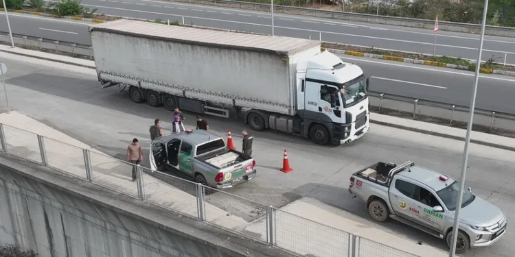 Yaşlı kadının şüpheli ölümünde torunu gözaltına alındı
