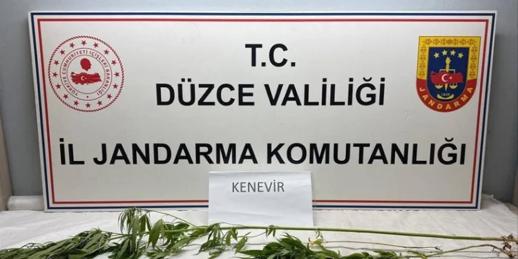 Jandarma’dan uyuşturucu operasyonu