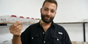 Yedigöller’de muhteşem kar manzarası