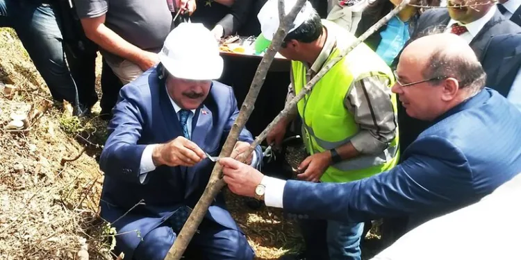 Yedigöller’de muhteşem kar manzarası