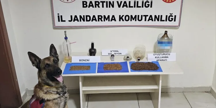 Park halindeki motosiklet çalındı