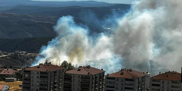 Park halindeki motosiklet çalındı