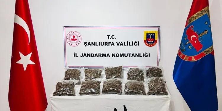 Düzce’de denetimlerde 207 araç trafikten men edildi