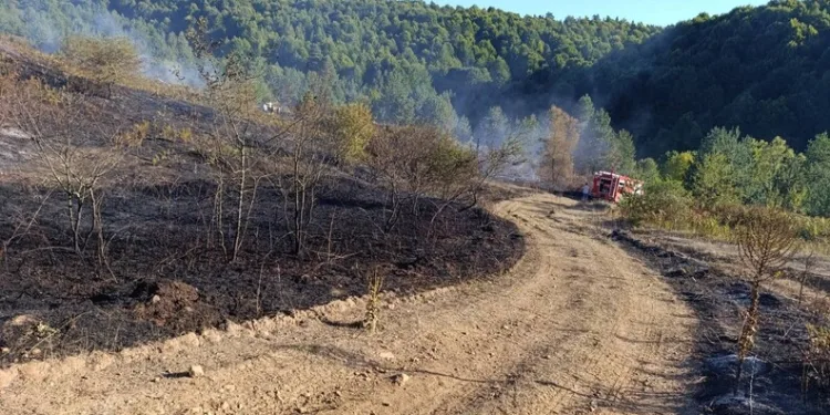 Şaphane’de çıkan yangından 2 ev tamamen yandı, 1 evde hasar oluştu