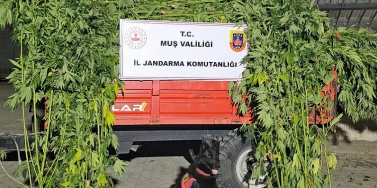Seyir halindeki araç alev aldı, sürücü kendini dışarı atarak kurtuldu