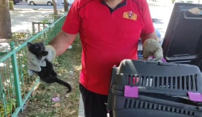 Seyir halindeki araç alev aldı, sürücü kendini dışarı atarak kurtuldu