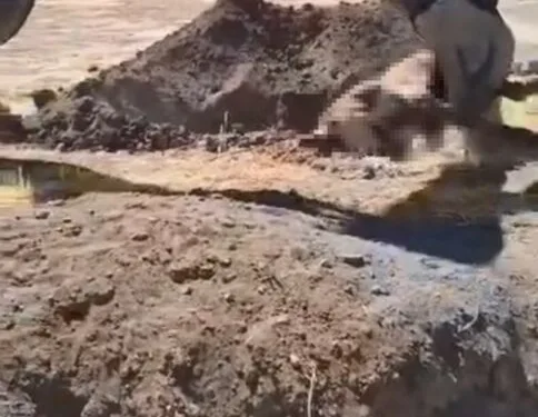 Yazıkonak’ta ölü hayvanın yerleşim alanına gömülmesine vatandaştan tepki