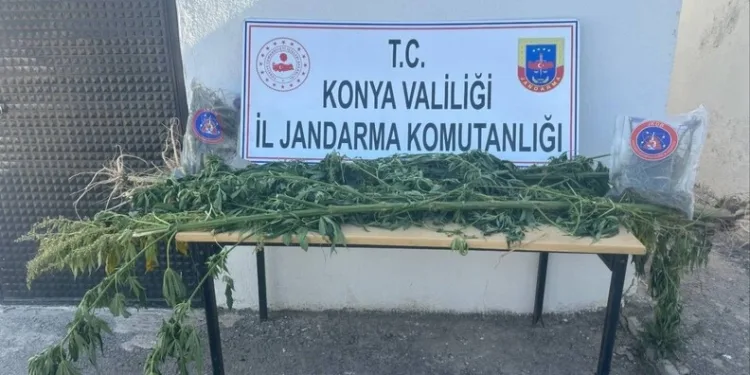 Yazıkonak’ta ölü hayvanın yerleşim alanına gömülmesine vatandaştan tepki