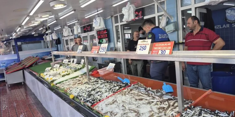 Yazıkonak’ta ölü hayvanın yerleşim alanına gömülmesine vatandaştan tepki