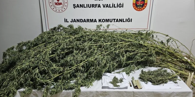 Yazıkonak’ta ölü hayvanın yerleşim alanına gömülmesine vatandaştan tepki