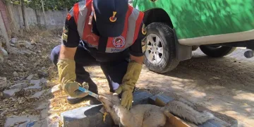Düğünlerde havaya ateş açan şahıslara yönelik operasyon