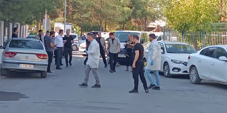 Samsun’da ormana götürdükleri şahsı darp eden 2 kişi jandarmaya yakalandı