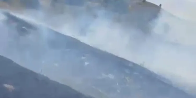 Samsun’da ormana götürdükleri şahsı darp eden 2 kişi jandarmaya yakalandı
