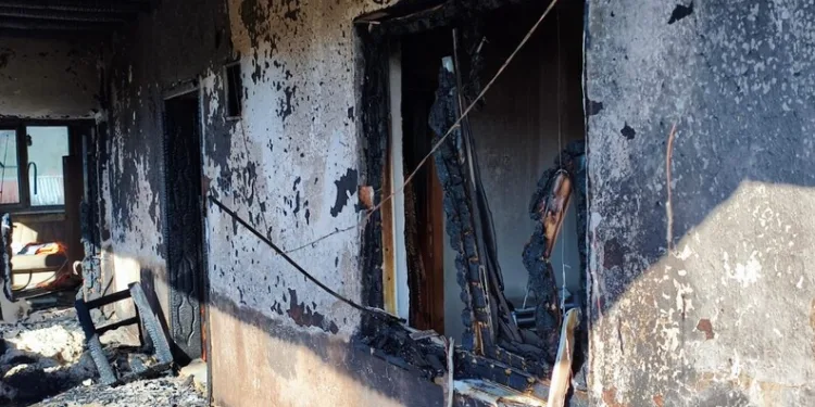 Samsun’da ormana götürdükleri şahsı darp eden 2 kişi jandarmaya yakalandı